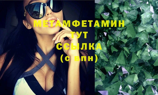 шишки Елизово