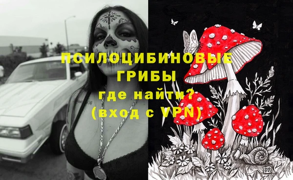 марки lsd Ельня