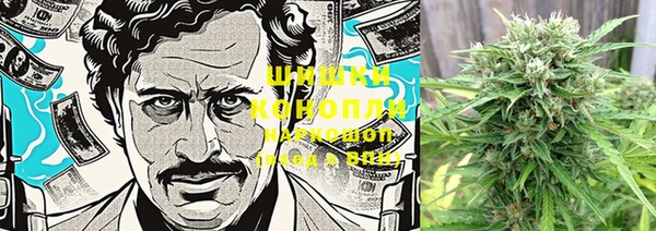шишки Елизово