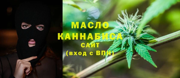 шишки Елизово