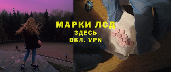 шишки Елизово