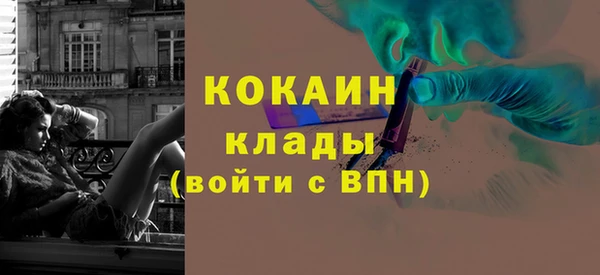 гидропоника Дмитриев
