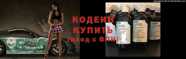 шишки Елизово