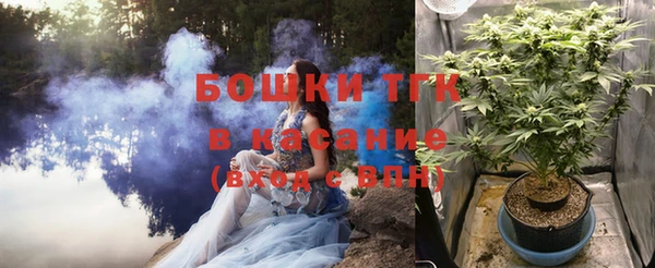 гидропоника Дмитриев