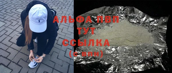 шишки Елизово