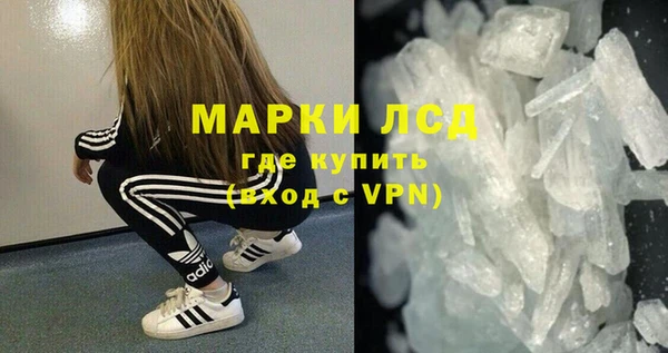 шишки Елизово