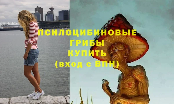 мет Елабуга