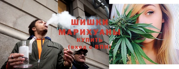 шишки Елизово