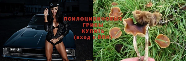 гидропоника Дмитриев