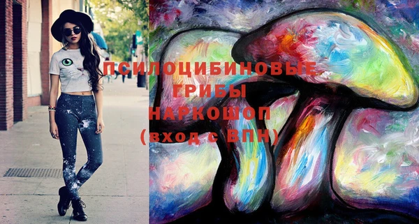 марки lsd Ельня