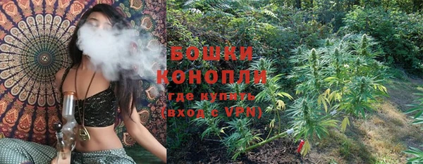 шишки Елизово