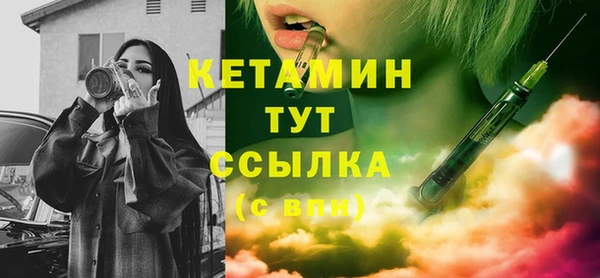 шишки Елизово